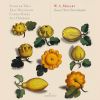 Download track Le Nozze Di Figaro, K. 492 (Excerpts Arr. For 3 Basset Horns) Voi Che Sapete