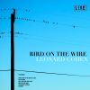 Download track Bird On The Wire (Live)