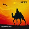 Download track Habibi (Radio Edit)