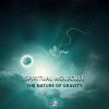 Download track The Nature Of Gravity