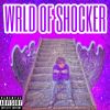 Download track That Boy Shocker
