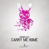 Download track Carry Me Home (Radio Edit)