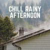 Download track Daytime Rain Soundscape