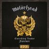 Download track Stone Dead Forever