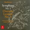 Download track 03. Beethoven- Symphony No. 5 In C Minor, Op. 67- III. Allegro