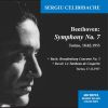 Download track Symphony No. 7 In A Major, Op. 92: II. Allegretto (Live)