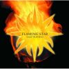 Download track Flaming Star