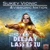 Download track Deejay Lass Es Zu (Ghostly Raverz! Remix)