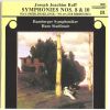 Download track Raff - Symphony No. 10, Op. 213 ''Zur Herbstzeit'' - III. Elegie. Adagio