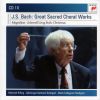 Download track Magnificat BWV 243 In D Major, Einlage B: Freut Euch Und Jubiliert