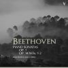 Download track Beethoven: Piano Sonata No. 10 In G Major, Op. 14 No. 2: II. Andante