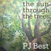 Download track The Sun Through The Trees