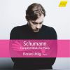 Download track Albumblätter, Op. 124 (Excerpts) No. 17, Elfe