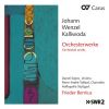 Download track Violin Concertino No. 1 In E Major, Op. 15 I. Allegro Maestoso