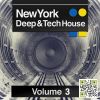 Download track New York Deep & Tech House - Continuous DJ Mix 1