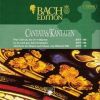 Download track Was Gott Tut, Das Ist Wohlgetan BWV 100 - VI Choral (Coro)