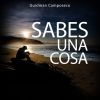 Download track Sabes Una Cosa