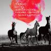 Download track Tanguillo