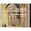 Download track BWV. 067 - 7. Chorur: Du Friedefurst, Herr Jesu Christ
