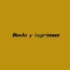 Download track Boda Y Lagrimas
