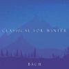 Download track J. S. Bach: Musette In D Major, BWV Anh. 126 (App. C)