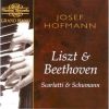 Download track Beethoven - Sonata In C, Op. 2 No. 3 - III. Scherzo: Allegro