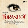 Download track 20. Turandot, Act 2 Addio, Amore! Addio, Razza! (Coro, Pong, Pang, Ping)