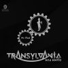 Download track Brothers From Transylvania