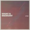 Download track What A Memory
