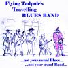 Download track Flying Tadpole's Travelling Blues Band