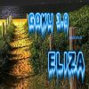 Download track ELIZA