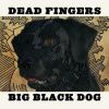 Download track Big Black Dog