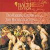 Download track Weichet Nur, Betrübte Schatten BWV 202 - I Aria