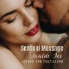 Download track Erotica Spa (Erotic Music Relaxation)