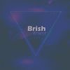 Download track Brish