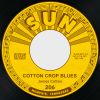 Download track Cotton Crop Blues