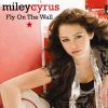 Download track Fly On The Wall