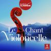 Download track Cello Concerto No. 1 In C Major, Hob. VIIb: 1: III. Allegro Molto