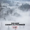 Download track Caught A Lite Sneeze (Live)
