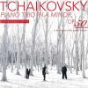 Download track 13 Piano Trio In A Minor, Op. 50 IId. Var. 11, Moderato