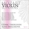 Download track Sonata For Violin & Piano No. 21 In E Minor, K. 304 (K. 300c): Allegro