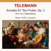 Download track Sonata No. 6 In E Major, TWV 40106 I. Affettuoso (Arr. For 2 Mandolins In A Major)