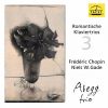 Download track Piano Trio In G Minor, Op. 8, B. 25: IV. Finale. Allegretto