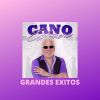 Download track Mi Amigo El Payaso