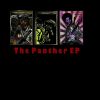 Download track Black Panther (Original Mix)