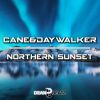 Download track Northern Sunset (C&D Uplift Rework 2021)