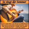 Download track Wann Wird's Mal Wieder Richtig Sommer