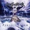 Download track Perfect Storm