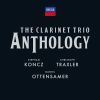 Download track Zemlinsky- Clarinet Trio In D Minor, Op. 3 - I. Allegro Ma Non Troppo