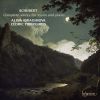 Download track 01 - Violin Sonata In D Major 'Sonatina', D384 - 1- Allegro Molto